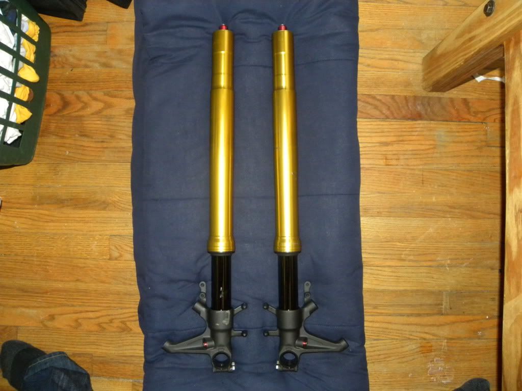 '03'04 GSXR 1000 forks